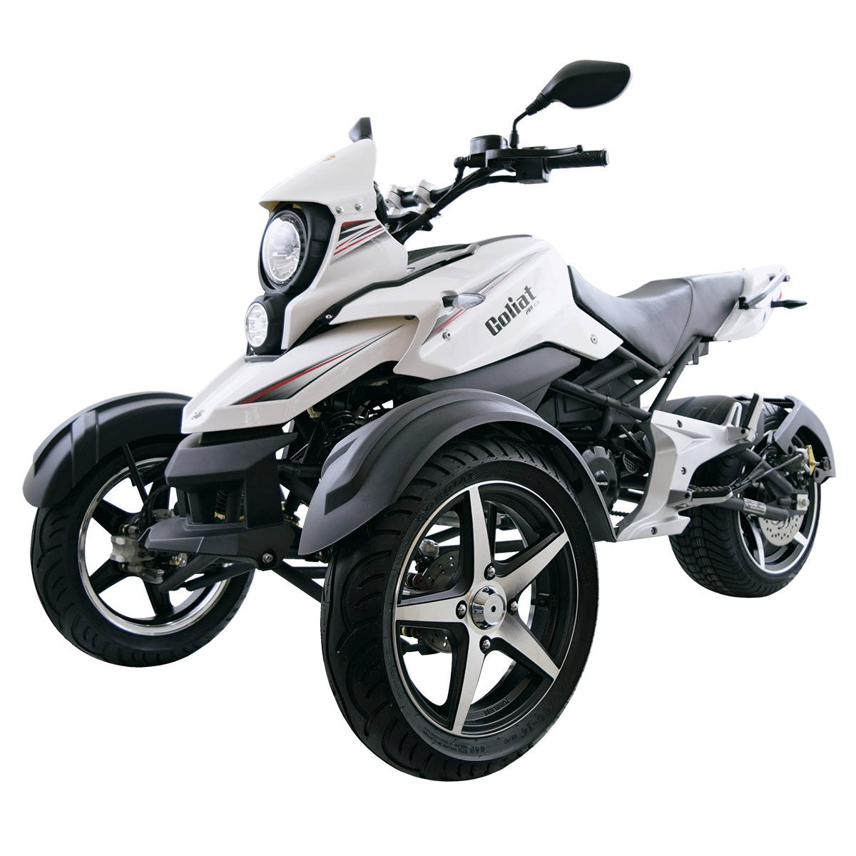 GOLIAT_BLANCA_34Izq_2022