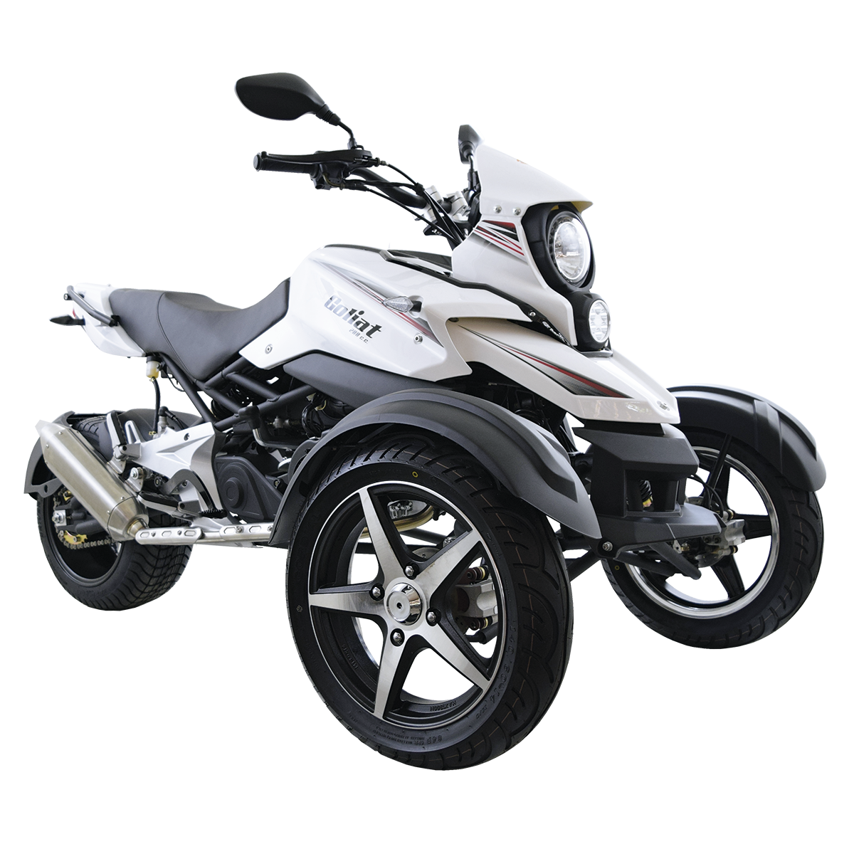 Goliat_blanca_34Der_2022